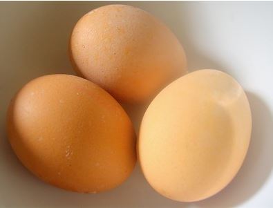 Eggs - Protein part helps weight-loss and reduces obesity