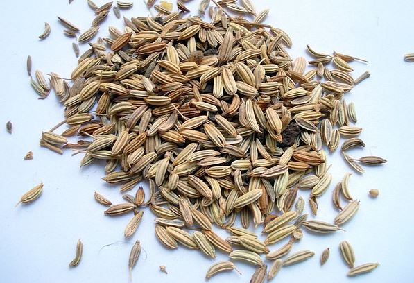 Fennel seeds - Herbal method that helps weight-loss and reduces obesity