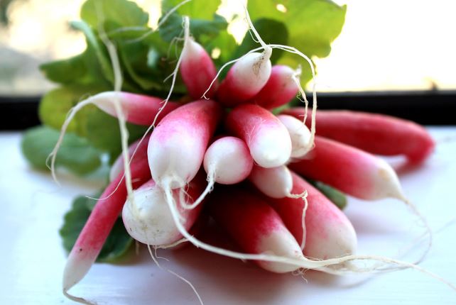 Radish - Rich in fiber that prevents food from craving