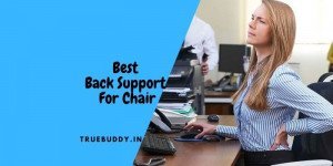Back Support for Chair