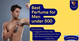 Best Perfume for Men under 500