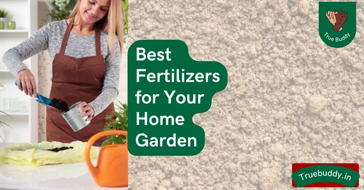 Best Organic Fertilizers for Plants