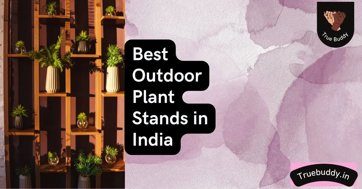Best Outdoor Plant Stand in India for Multiple plants