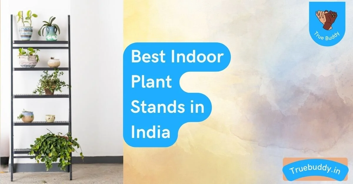 Indoor plant stands for multiple plants India