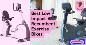 Best Low Impact Recumbent Exercise Bike