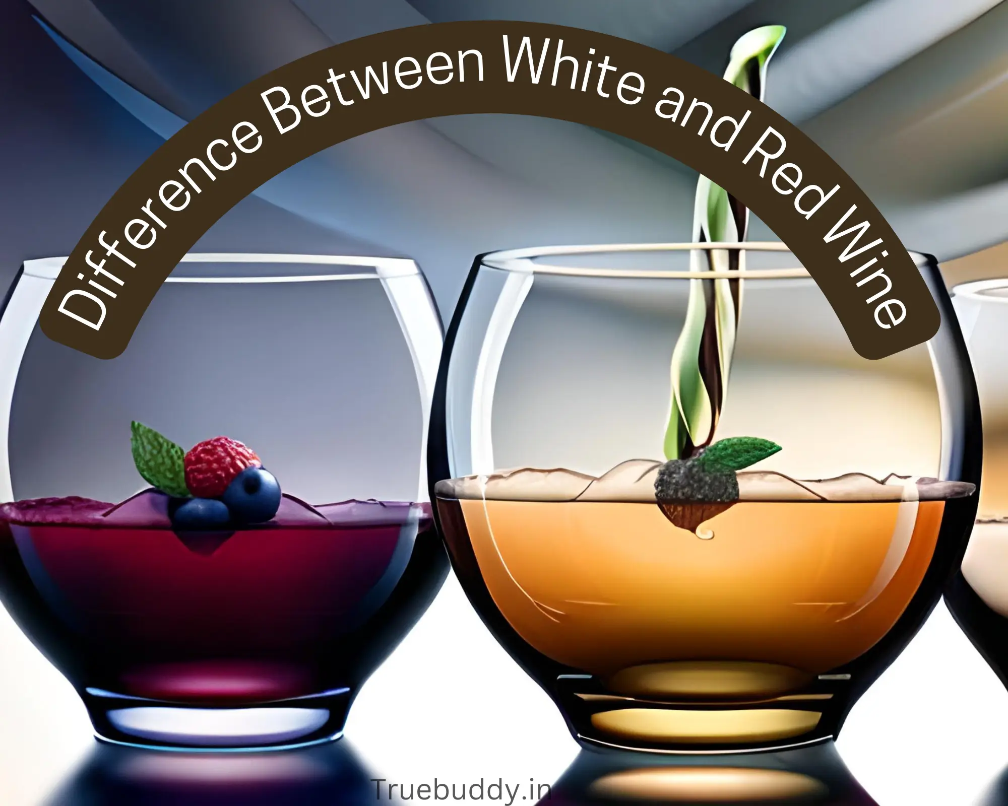 Difference Between White and Red Wine