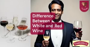 Difference Between White wine and Red Wine
