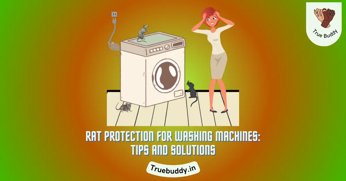 Rat Protection for Washing Machines Tips and Solutions