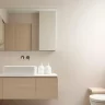 Bathroom Mirror Cabinet