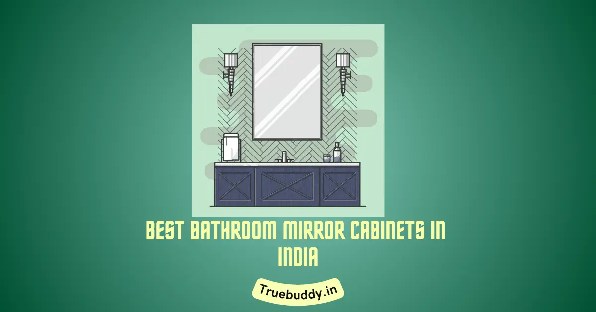 Home 20 Best Bathroom Mirror Cabinets in India
